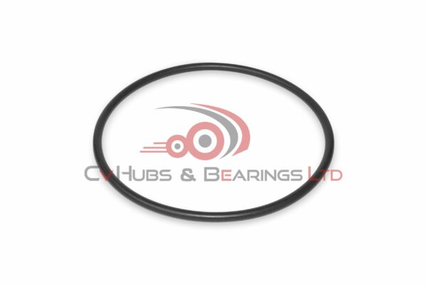 BPW O-Ring SEA0072
